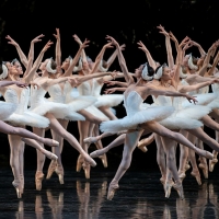 BWW Review: SWAN LAKE at San Francisco Ballet Brings the 2022 Season to a Spectacular Photo