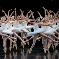 BWW Review: SWAN LAKE at San Francisco Ballet Brings the 2022 Season to a Spectacular Close