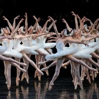 BWW Review: SWAN LAKE at San Francisco Ballet Brings the 2022 Season to a…