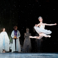 BWW Review: THE NUTCRACKER is a Prancing Good Time at Houston Ballet Photo