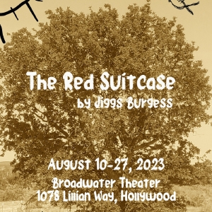 P3 Theatre Company to Present World Premiere of THE RED SUITCASE Beginning Next Month Video