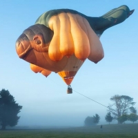 Patricia Piccinini's SKYWHALEPAPA Makes His World Premiere In Canberra This February Video