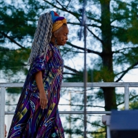 C Niambi Steele Performs Free Theater/Hip Hop on Governors Island Photo