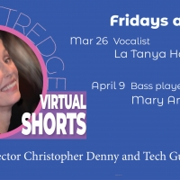 BWW Review: Ann Kittredge VIRTUAL SHORTS Is Wonderful Binge-Worthy Virtual Programmin Photo