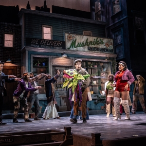 Review: LITTLE SHOP OF HORRORS at Paramount Theatre Aurora, IL Photo