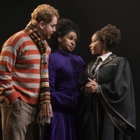 House Pride Nights to Return to HARRY POTTER AND THE CURSED CHILD Photo