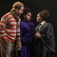 House Pride Nights to Return to HARRY POTTER AND THE CURSED CHILD