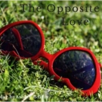 THE OPPOSITE OF LOVE Will Have NYC Workshop and Private Reading Photo