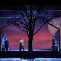BWW Review: San Francisco Opera Presents Virtual DIE WALKUERE