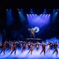 BWW Review: CATS Invites Its Audience to the Jellicle Ball Photo