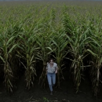 VIDEO: Check Out the First Trailer For Stephen King's THE STAND Series Video