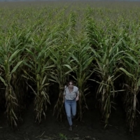 VIDEO: Check Out the First Trailer For Stephen King's THE STAND Series
