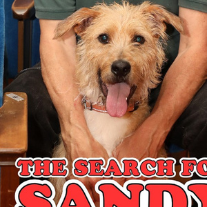 Video: Goodspeed Musicals Introduces Sandy for ANNIE's 50th Anniversary Production Photo