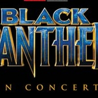 Chicago Philharmonic Performs MARVEL STUDIOS' BLACK PANTHER LIVE IN CONCERT Photo