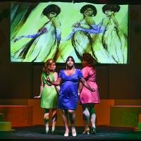 BWW Review: BEEHIVE at Candlelight Music Theatre Video