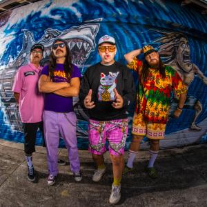 BADFISH to Bring Acoustic Tour w/ Ted Bowne to Daryl's House Photo