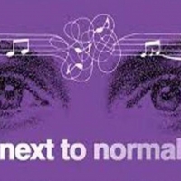 BWW Review: NEXT TO NORMAL Is Sadly Still Relevant at Split Stage Photo