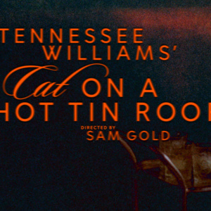 Sam Gold Will Direct CAT ON A HOT TIN ROOF Revival on Broadway Photo