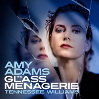 Save Up To 41% on THE GLASS MENAGERIE Starring Amy Adams Photo