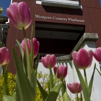 Single Tickets to Go On Sale in May for Westport Country Playhouse 2021 All-Virtual S Photo