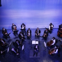 La Orquesta De Cámara De Bellas Artes Finalizó Primer Ciclo De Conciertos Inclusivo Photo