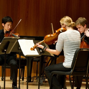 American Youth Chamber Orchestra to Hold Auditions for Summer 2026 Program Photo