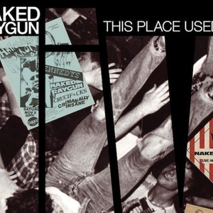 NAKED RAYGUN, ELEVENTH DREAM DAY Live LPs to Launch via Laughing Bee Photo