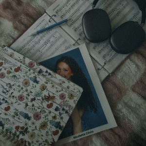 Student Blog: The Show Must Go On Photo