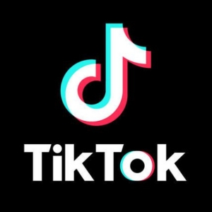 HAMILTON, MEAN GIRLS & More Could Leave TikTok Soon As as NPMA Pulls License Photo