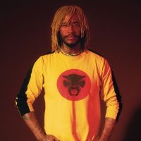 Thundercat Announces Fall 2021 North American Tour Photo