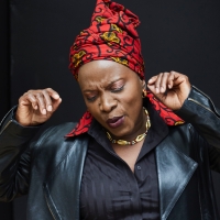 BWW Review: ANGELIQUE KIDJO at The VETS Photo