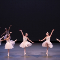 Review: Pacific Northwest Ballet Trades Timeliness For Timelessness  at The David H.  Photo