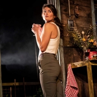 BWW Review: WALDEN, Harold Pinter Theatre Video