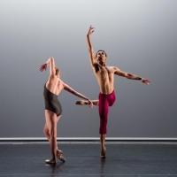 McNicol Ballet Collective Presents FIREBIRD REIMAGINED, A Bold New Dance Film Video
