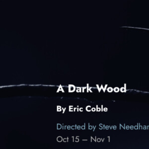 A DARK WOOD Tickets to Go On Sale for Tin Drum Theatre's Chicago Premiere Photo