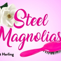 BWW Review: STEEL MAGNOLIAS at Castle Craig Players Video