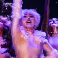 State Theatre New Jersey Presents CATS Photo