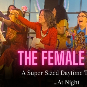 FEMALE GAZE SHOW Comes to Caveat This Month