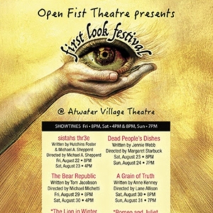 Open Fist Theatre Company’s FIRST LOOK FESTIVAL to Present 4 New Plays and More Photo