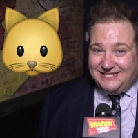 BWW TV: If You Were an Emoji, Which Would You Be? The Stars of EMOJILAND Make Their P Video