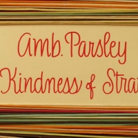 Ambrosia Parsley Shares 'The Kindness of Strangers' Video Photo