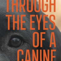 David J. Kurlander Releases Debut Book THROUGH THE EYES OF A CANINE