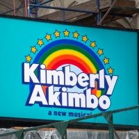 Video: On the Opening Night Red Carpet for KIMBERLY AKIMBO Photo
