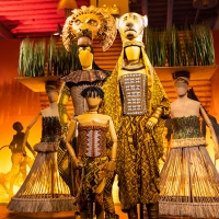 Interactive Costume Exhibition SHOWSTOPPERS! Extends in Times Square Through End of O Photo
