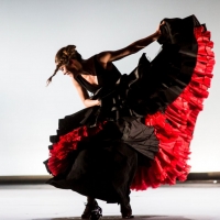Baryshnikov Arts Center Will Present the US Premiere of Patricia Guerrero's PROCESO E Photo