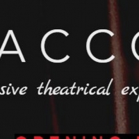 Burning Coal Theatre Presents New Immersive Play ACCORD(ING) Photo