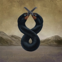 San Fermin Announces the Second Chapter of 'The Cormorant' Project