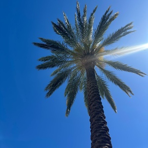 Student Blog: A Work in Progress