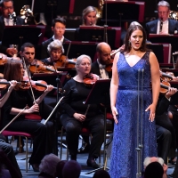 Wake Up With BWW 8/12: JOSEPH... Broadway Transfer, and More! Image