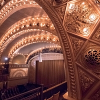 Auditorium Theatre Board Of Directors Appoints New Members